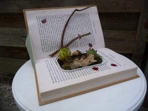 Plante dans livre