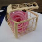 Rose rose dans cage