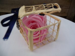 Rose rose dans cage