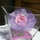 Rose rose et son ruban dans coupe verre