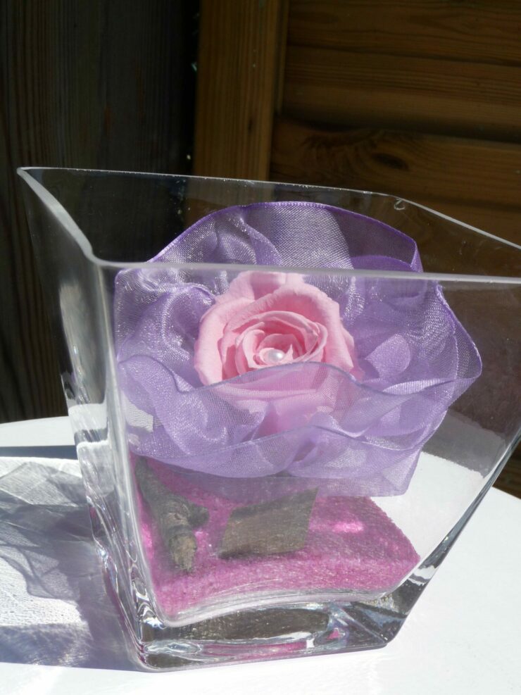 Rose rose et son ruban dans coupe verre