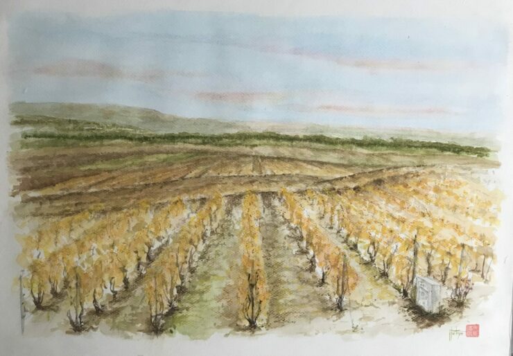 Aquarelle originale les coteaux champenois, Verzenay en Automne. Peinte à la main. format A3