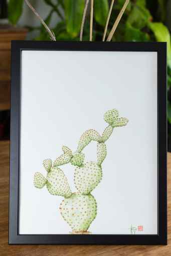 Aquarelle le cactus raquette originale peinte à la main.