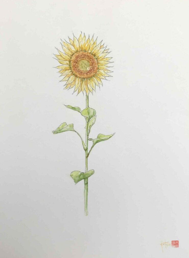 Tableau à l'aquarelle, le tournesol, original peint à la main.