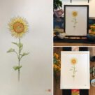 Tableau à l'aquarelle, le tournesol, original peint à la main.