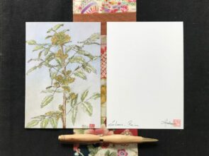 Carte postale imprimée, « Mahonia en fleurs»