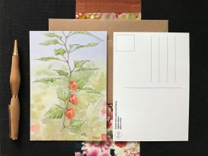 Carte postale florale "les physalis", imprimée d'après une de mes aquarelles.