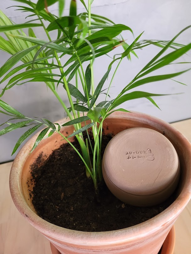 Olla à planter