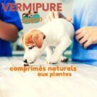 Vermifuge pour Chien de petite taille